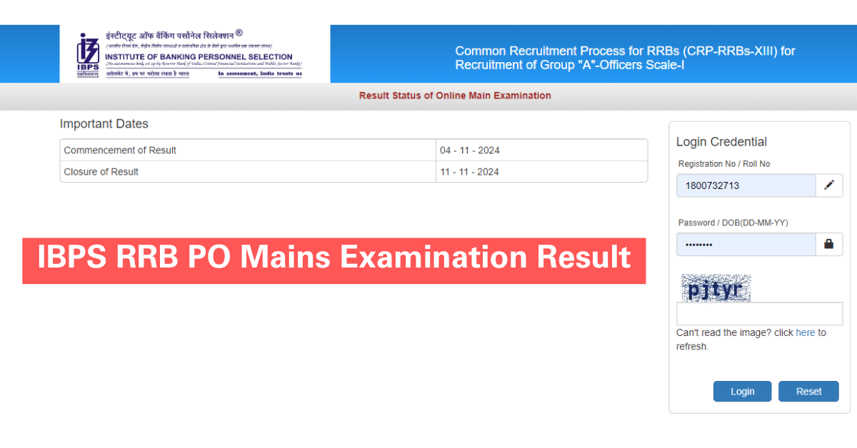 IBPS RRB PO Mains Result 2024 Declared – Check your result online now.