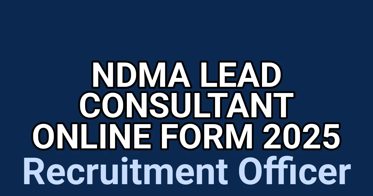 NDMA Lead Consultant Online Form 2025 – Apply Online 1